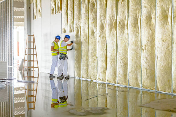 Best Residential Insulation in Meadowbrook, VA